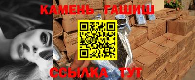 стаф Можга