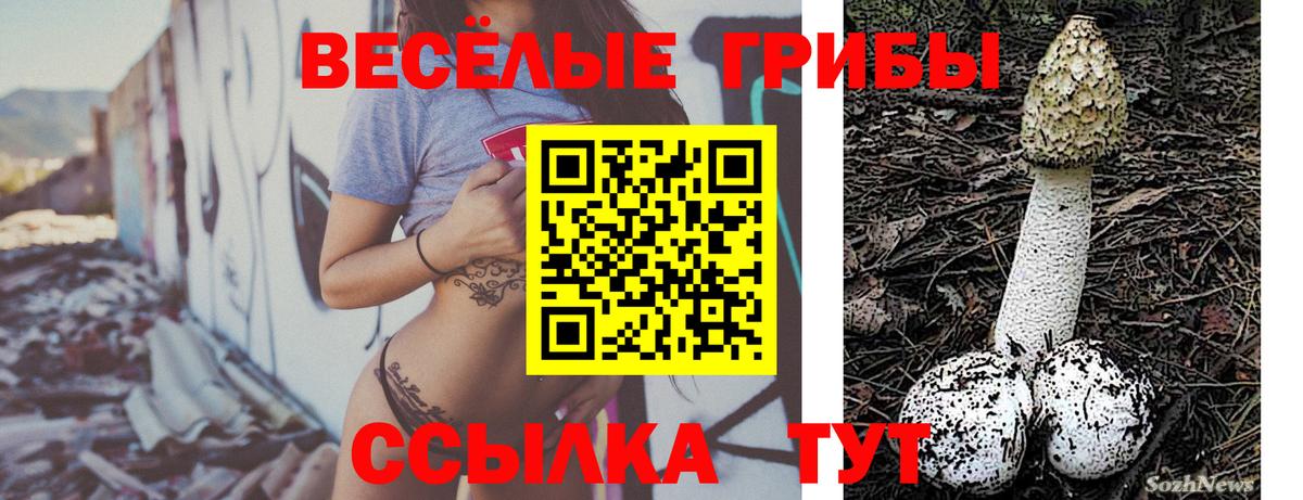 Славянск-на-Кубани  Галлюциногенные грибы MAGIC MUSHROOMS  Вход с VPN 