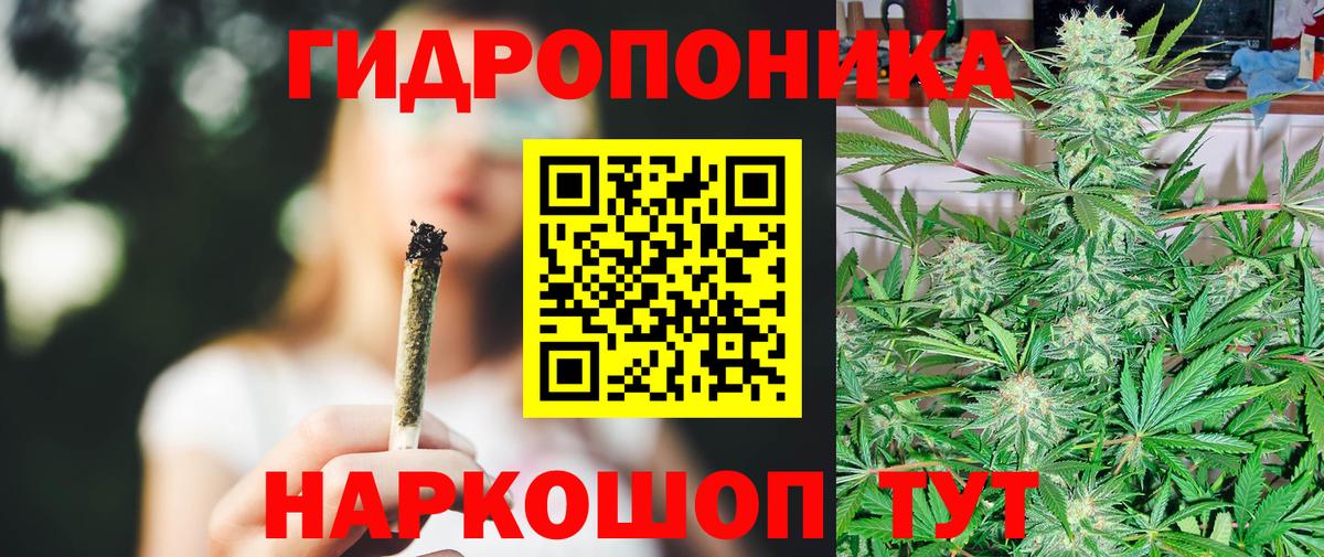 Бошки марихуана SATIVA & INDICA  Шишки марихуана THC 21%  Вход с VPN  Славянск-на-Кубани  Канабис сатива 